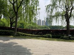 -南翔镇银翔湖公园