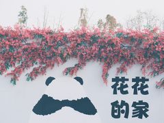 -成都大熊猫繁育研究基地