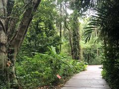 -广西壮族自治区药用植物园