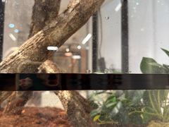 -上海昆虫博物馆