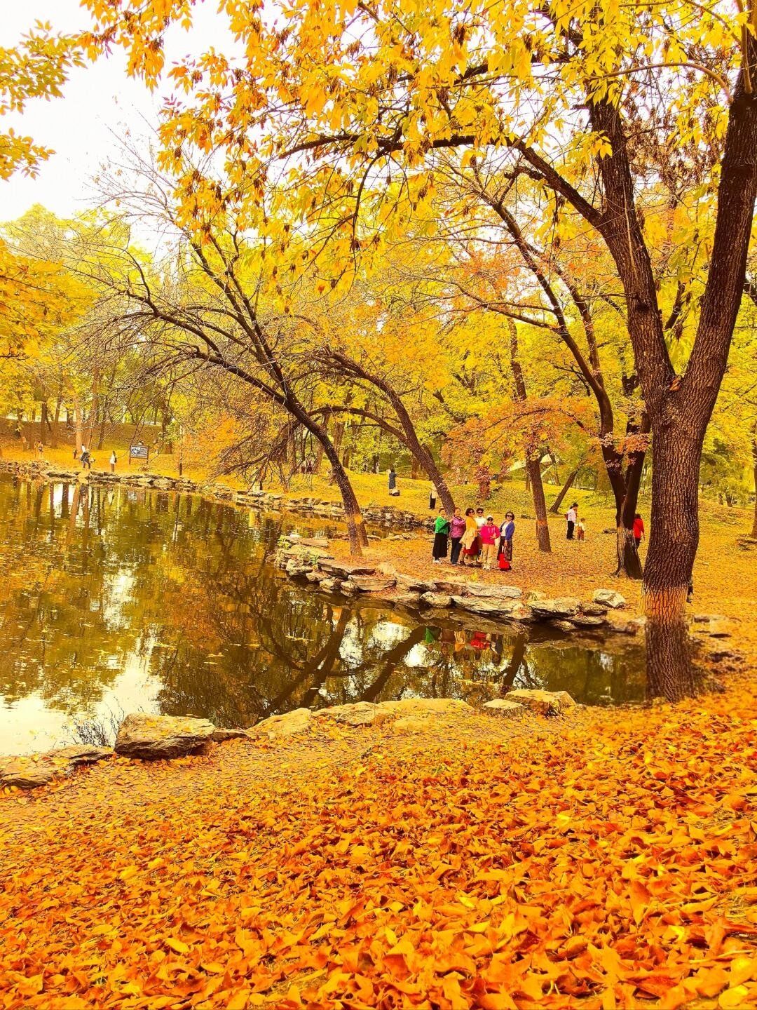 10月18日圆明园的秋天