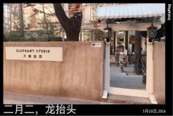 -大象造型