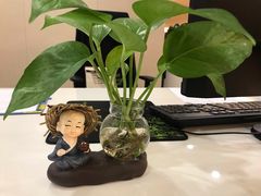 -上海市保健医疗中心