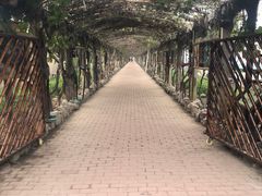 -呀路古热带植物园