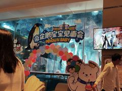 -帝企鹅自助餐厅•儿童岛•真企鹅(长隆企鹅酒店)