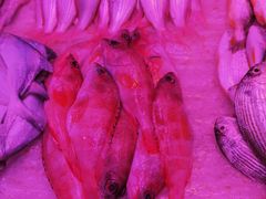 -珠光市场(文德南路)