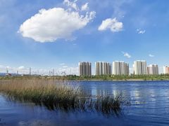 -永定河休闲森林公园