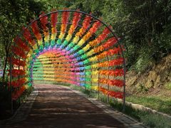 -广州白江湖森林公园