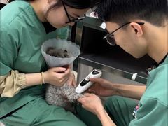 -派美特宠物医院·核磁CT·骨科肿瘤·疑难转诊(沈农禾丰店)