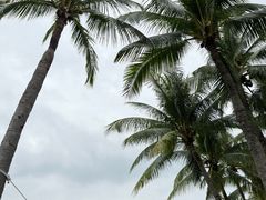 -亚龙湾中心广场