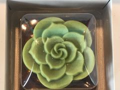 -新大新(东山广场店)