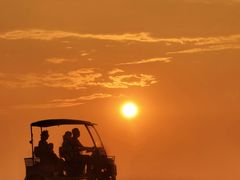 -瑶湖郊野森林公园