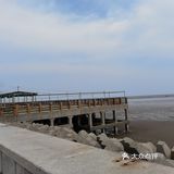 奉贤海湾