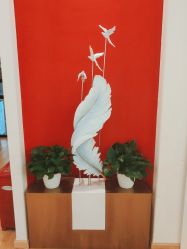 -宝贝家族国际影像馆(高新店)
