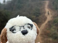-青龙山国家森林公园