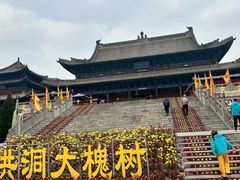 -大槐树寻根祭祖园