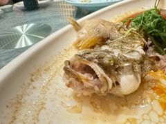 清蒸笋壳鱼-博多新记·粤菜(复兴店)