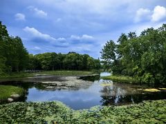 -长广溪湿地公园