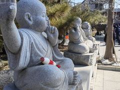 -天津大悲禅院