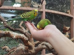 -南宫五洲植物乐园