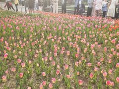 -长春公园(普阳街道)