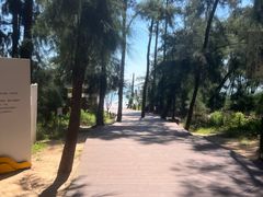 -大京沙滩