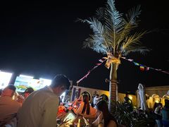 -三里屯东五街银杏大道