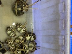 -蟹状元大闸蟹·年货·粽子(成都成华店)