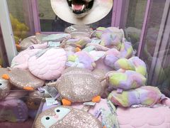 -渔人码头(洛溪店)