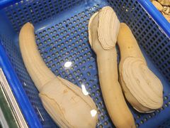 -渔傅·霞浦滩涂海鲜(建平店)