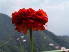 -东天目山风景区