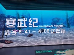 -贵州省地质博物馆