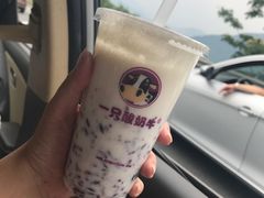 -一只酸奶牛(奎星楼店)