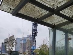 -华润深圳湾体育中心-“春茧” 体育馆