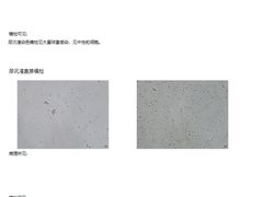 -泰洋动物医院·神经专科·磁共振·CT(天河公园总院)