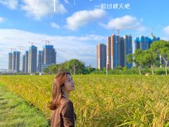 -光明小镇欢乐田园