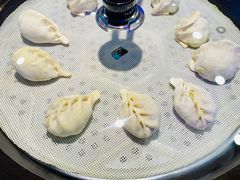 -挂雪铁锅炖大鹅