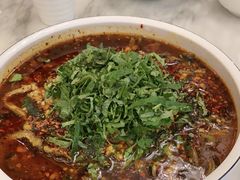 -陈麻婆豆腐总店