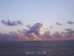 -枸杞岛