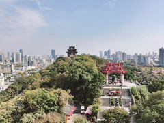 -黄鹤楼公园(黄鹤楼)