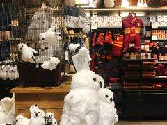 -九又四分之三站台哈利波特商店