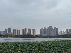 -月湖风景区