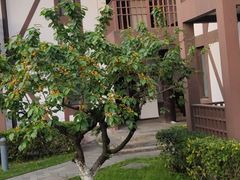 -太阳岛度假酒店