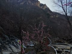 -黑龙潭风景区