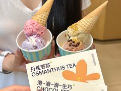 -苏小糖(鼓浪屿三丘田花园店)