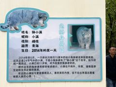 -青藏高原野生动物园