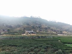 -福建土楼（华安）旅游区•大地土楼群