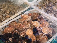 -大哈福烧烤·海鲜·家常菜(延安三路店)