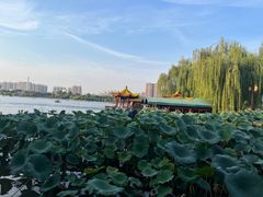 -济南大明湖景区