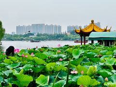 -济南大明湖景区